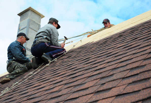 Roof Repair Estimates in Bloomingdale, FL